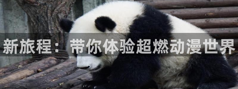omofun新番：新旅程：带你体验超燃动漫世界配图