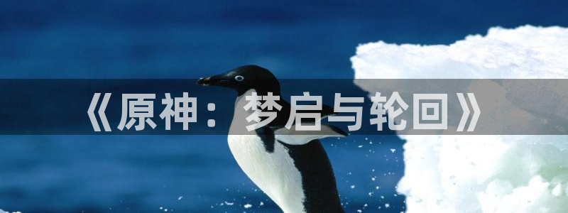 omofun日漫在线观看：《原神：梦启与轮回》配图