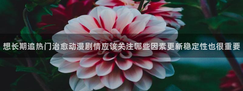 omofun热门动漫推荐:想长期追热门治愈动漫剧情应该关注哪些因素更新稳定性也很重要配图