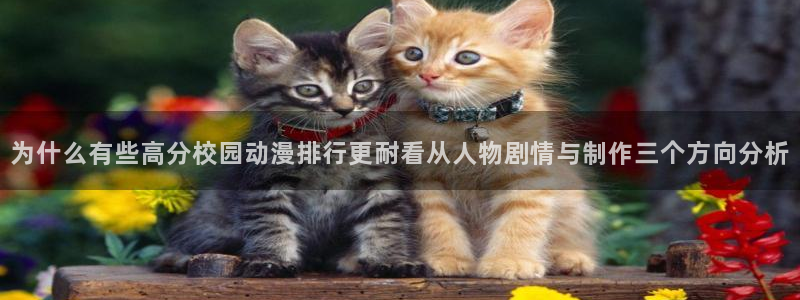 omofun人气动漫推荐:为什么有些高分校园动漫排行更耐看从人物剧情与制作三个方向分析配图