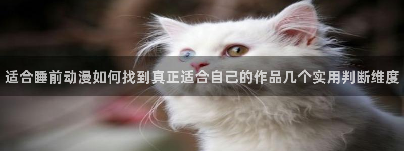 omofun动漫官网免费:适合睡前动漫如何找到真正适合自己的作品几个实用判断维度配图