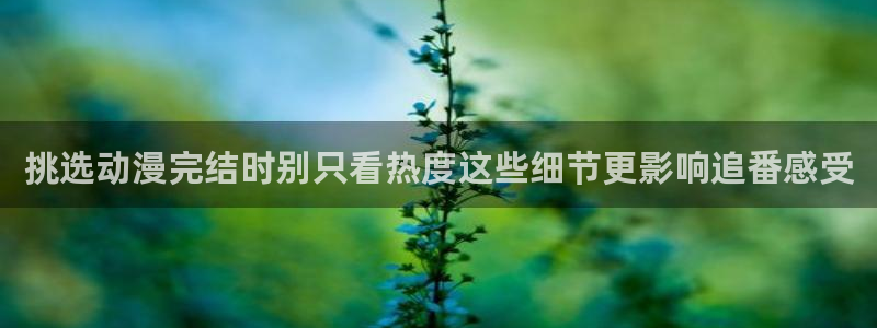 omofun动漫热门推荐：挑选动漫完结时别只看热度这些细节更影响追番感受配图