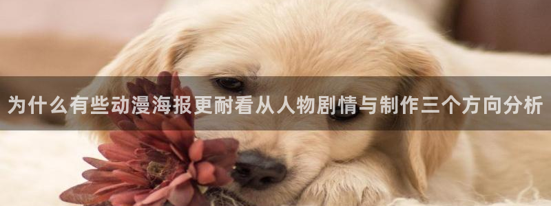 omofun官网免费观看:为什么有些动漫海报更耐看从人物剧情与制作三个方向分析配图