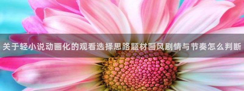 omofun动作动漫:关于轻小说动画化的观看选择思路题材画风剧情与节奏怎么判断配图