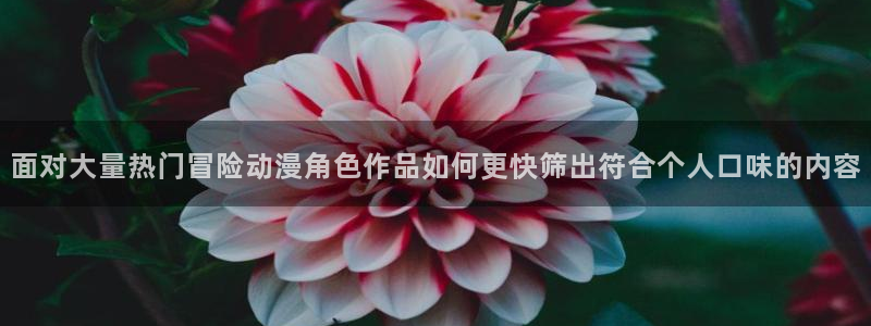 omofun动漫新番推荐:面对大量热门冒险动漫角色作品如何更快筛出符合个人口味的内容配图
