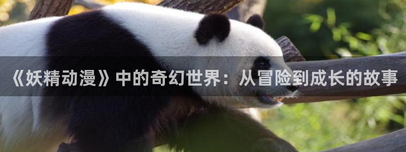 omofun国产动漫在线观看:《妖精动漫》中的奇幻世界:从冒险到成长的故事配图