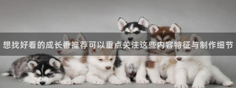 omofun动漫官网入口:想找好看的成长番推荐可以重点关注这些内容特征与制作细节配图