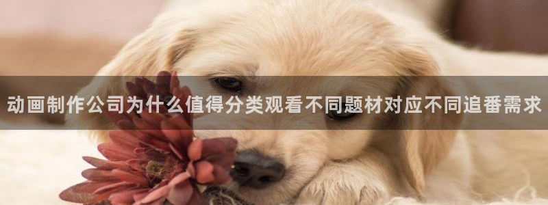 omofun动漫:动画制作公司为什么值得分类观看不同题材对应不同追番需求配图