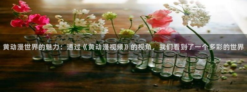 omofun新番动漫在线观看：黄动漫世界的魅力：通过《黄动漫视频》的视角，我们看到了一个多彩的世界配图
