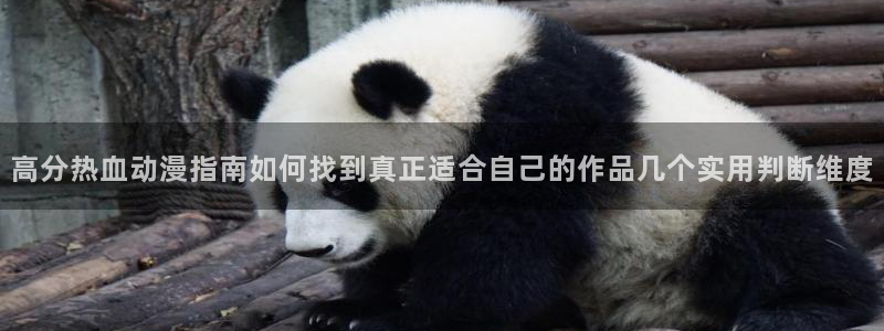 omofun在线动漫大全：高分热血动漫指南如何找到真正适合自己的作品几个实用判断维度配图
